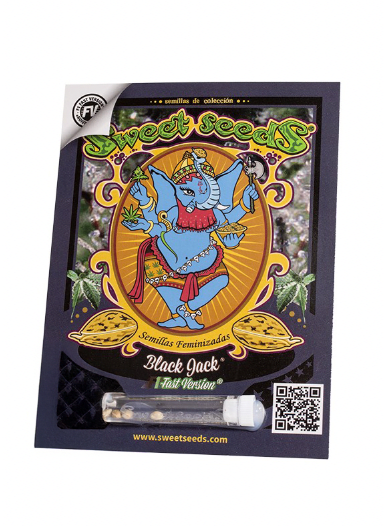 SWEET SEEDS BLACK JACK FEM 100 UNIDADES1