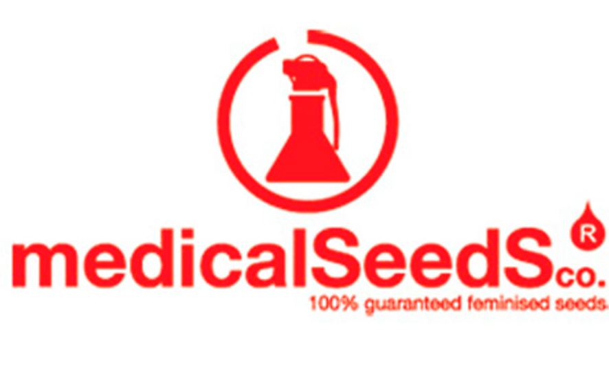 MEDICAL SEEDS DONUTS FEM 3+2 (PROMO)1