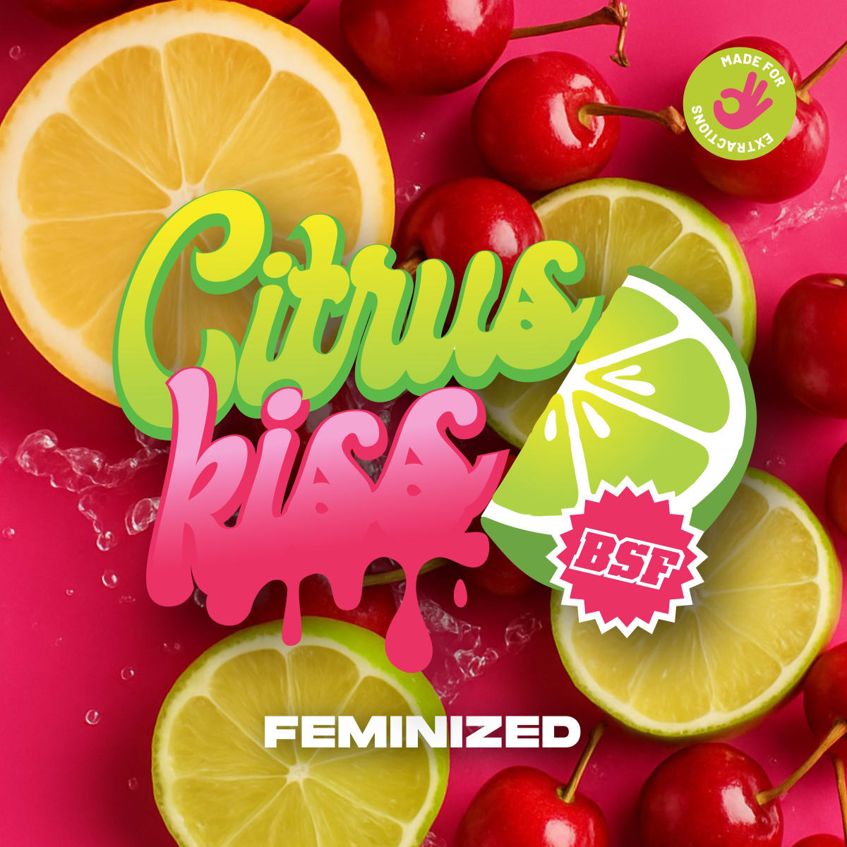 BSF SEEDS CITRUS KISS FEM 4 UN1
