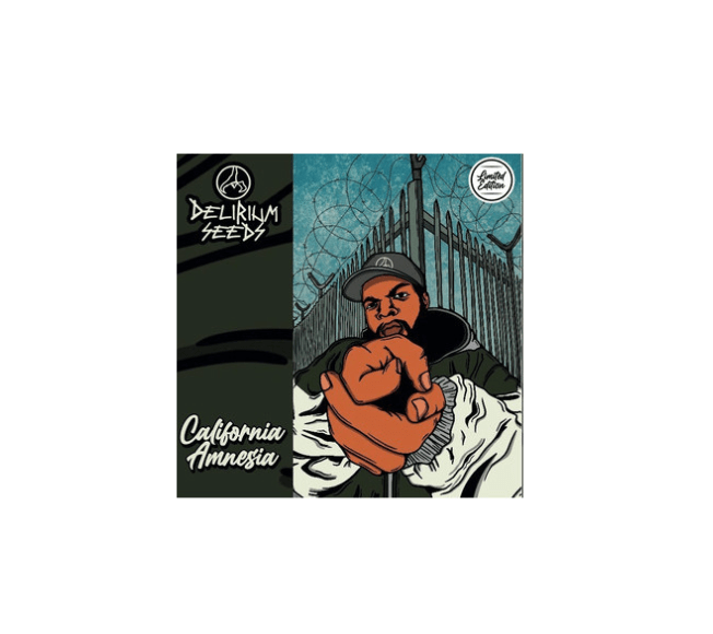 DELIRIUM SEEDS CALIFORNIA AMNESIA AUTO X1UN1