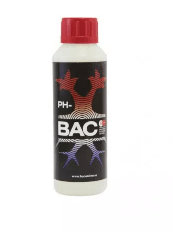 PH DOWN - BAC1