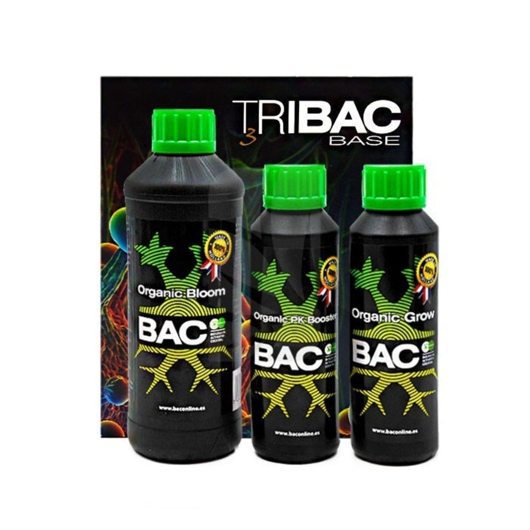 TriBAC - BAC1