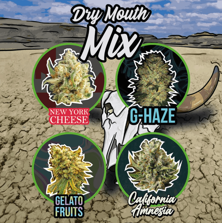 DELIRIUM SEEDS MIX DRY MOUTH LINE X14 AUTO1
