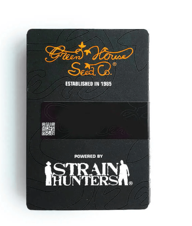 GREEN HOUSE SEEDS CHESSE 3UNID1