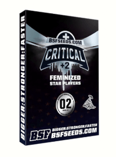 BFS SEEDS CRITICAL +2 FEM X21