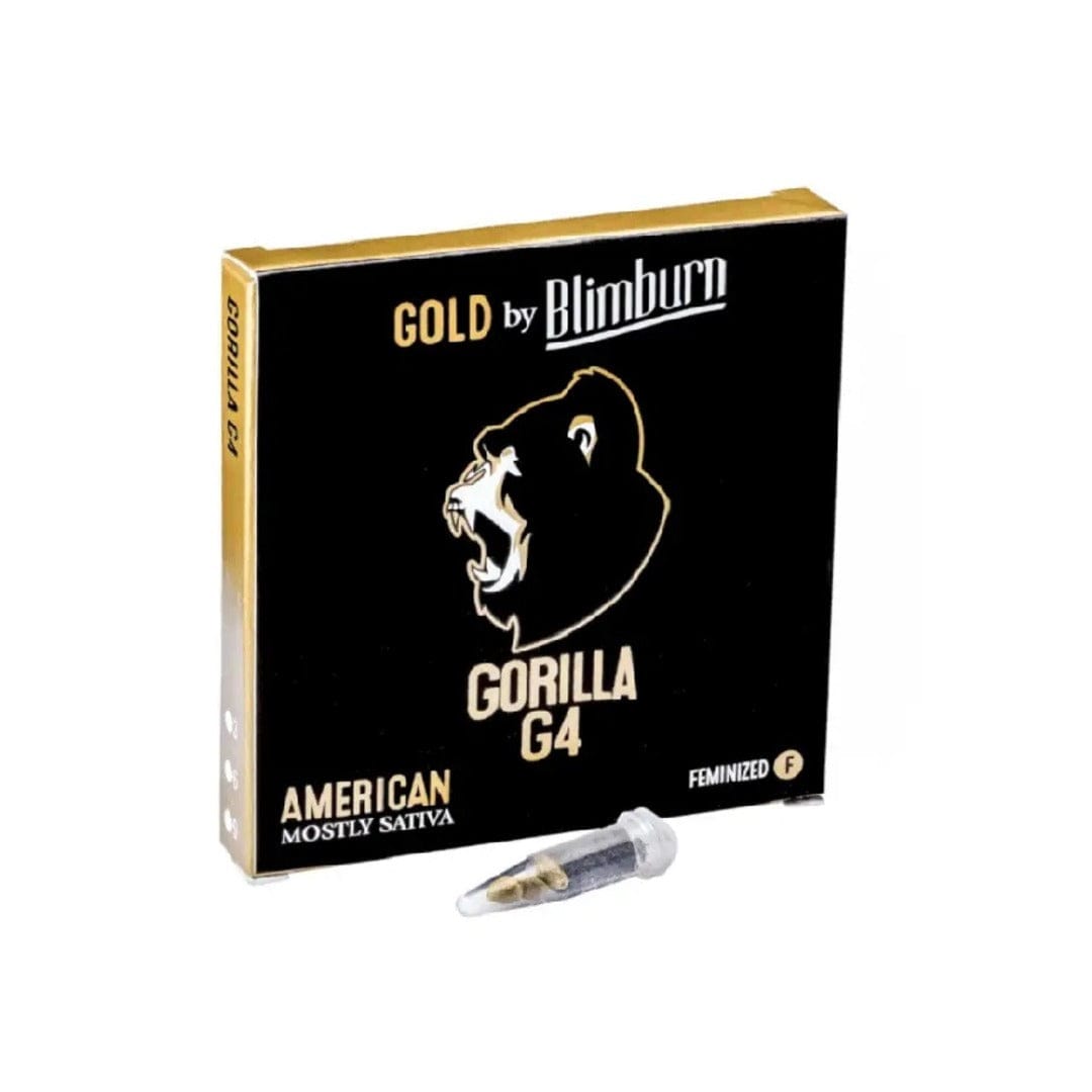 BLIMBURN COLECCION - FEM GORILLA G4 5 UNI1