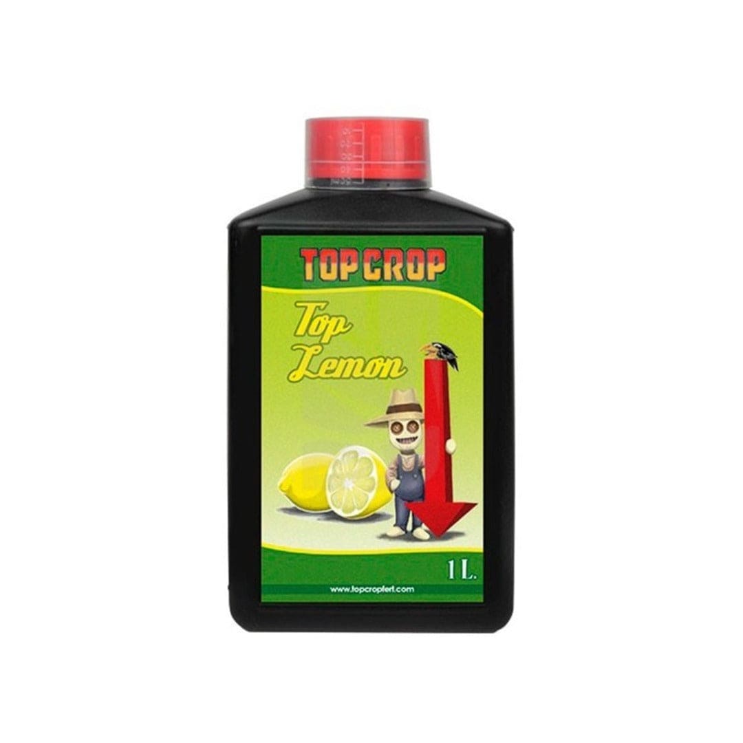 TOP CROP TOP LEMON (PH-)1