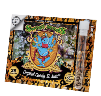 SWEET SEEDS AUTO CRYSTAL CANDY XL 25 UN1
