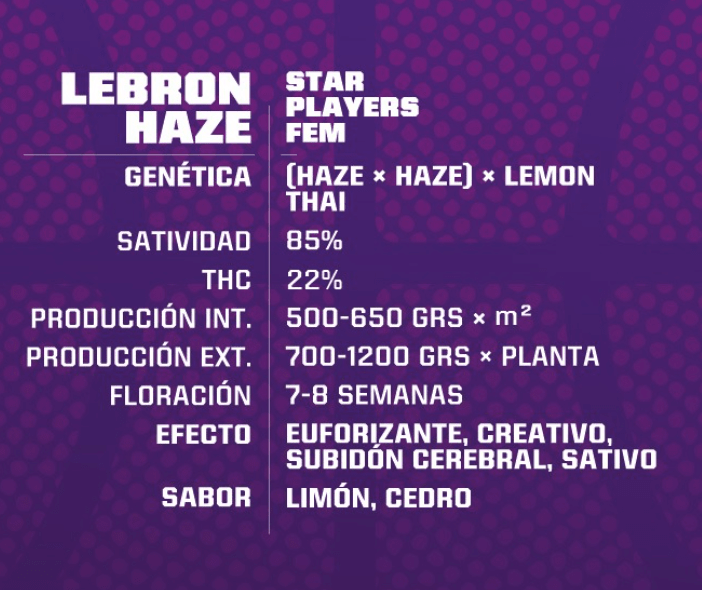 Lebron haze FEM- Pack 1000 semillas – BSF1