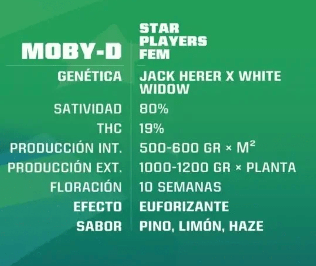 Moby Dick FEM - Pack 1000 semillas – BSF1