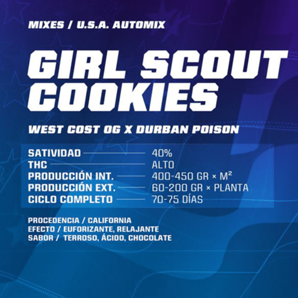 Girl Scout Cookies AUTO - Pack 500 semillas – BSF1