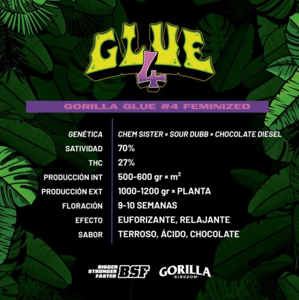 Gorilla Faster AUTO – Pack 100 semillas – BSF1