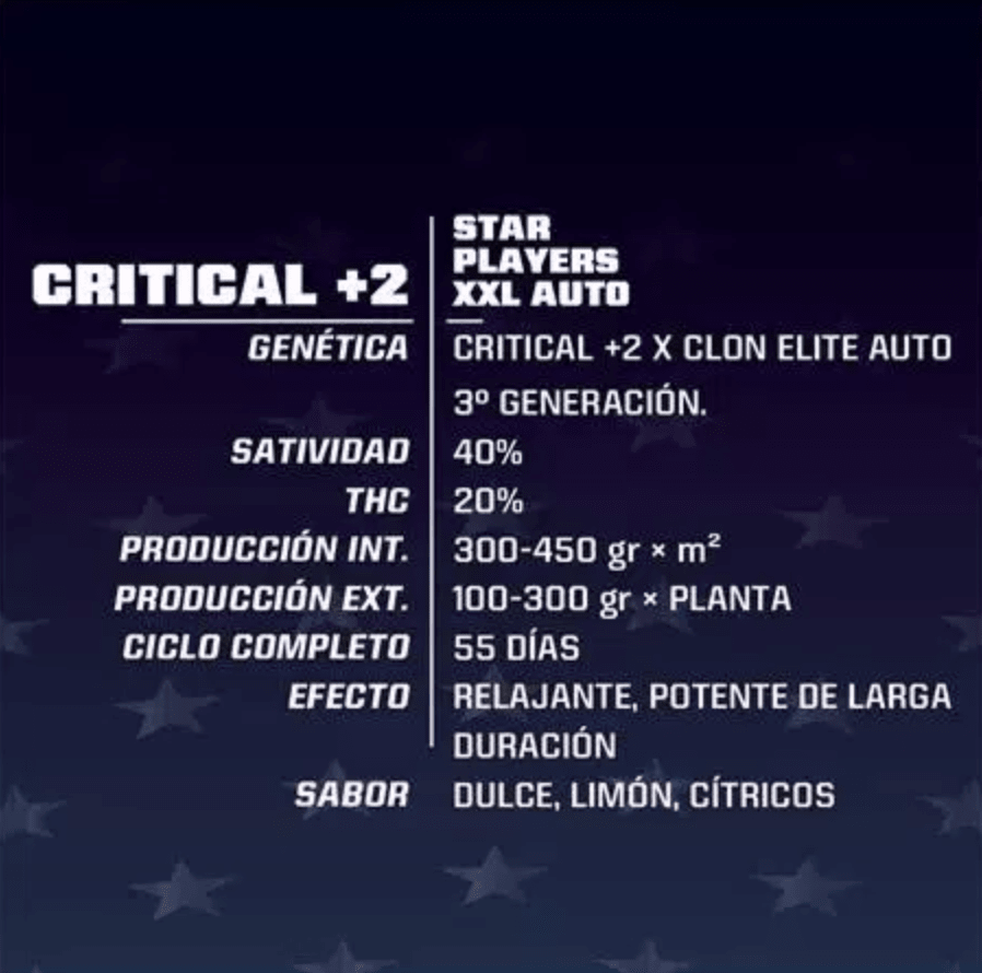 BSF Critical +2 Fem - X121