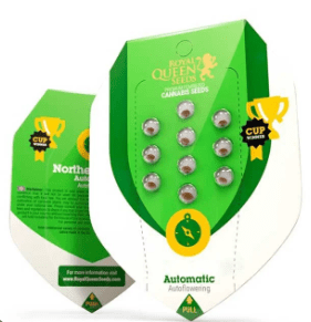 ROYAL QUEEN SEEDS ROYAL AK AUTO 3UDS1