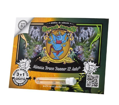 SWEET SEEDS MIMOSA BRUCE BANNER XL AUTO 3+1 UN1