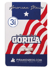 PYRAMID SEEDS GORILA FEM X3+11