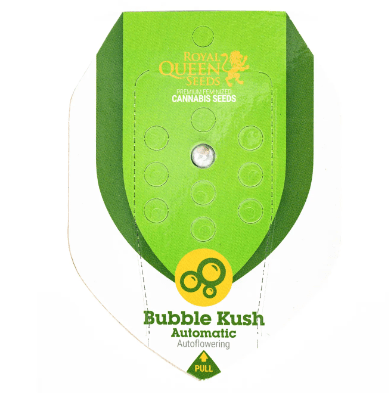 ROYAL QUEEN SEEDS AUTO BUBBLE KUSH 1UNID1