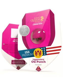 ROYAL QUEEN SEEDS LEGENDARY OG PUNCH 1UD1