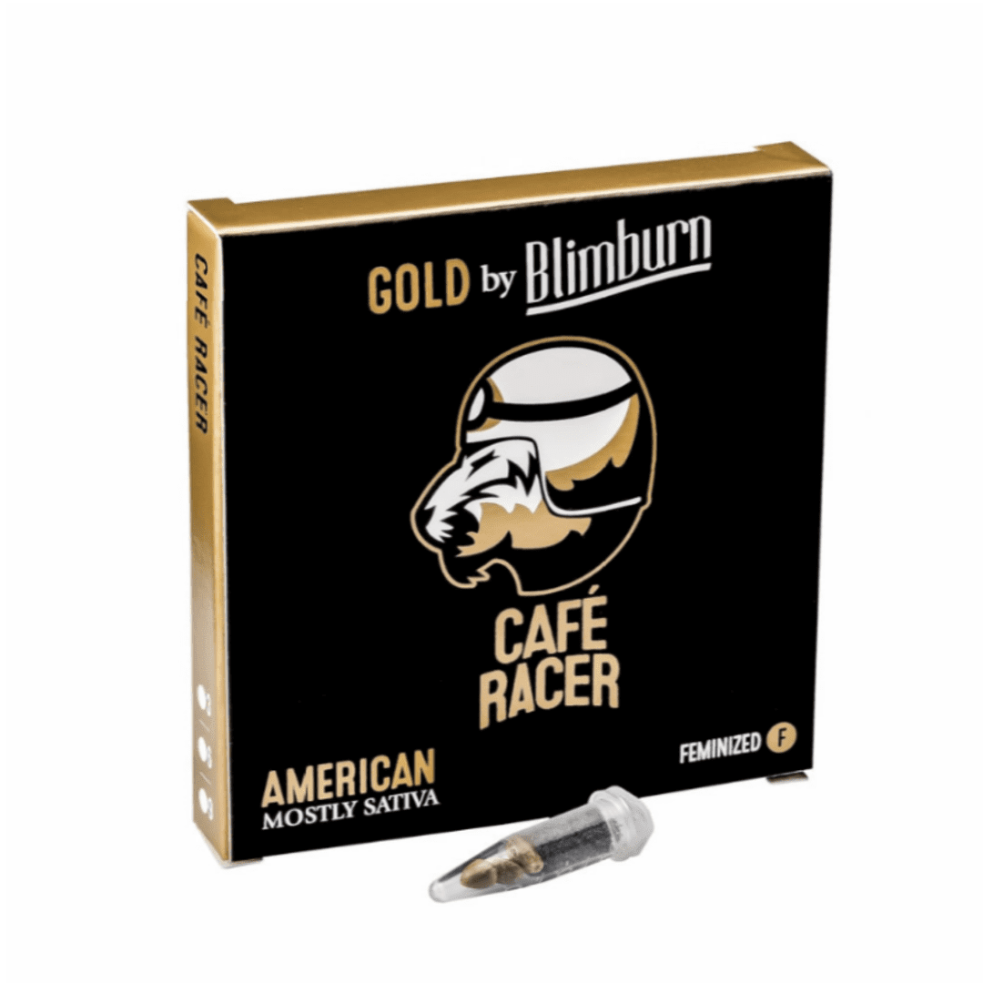 BLIMBURN FEM CAFE RACER1