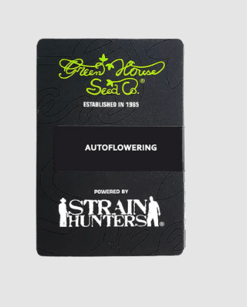 GREEN HOUSE SEEDS BIG BANG AUTO 1UN2