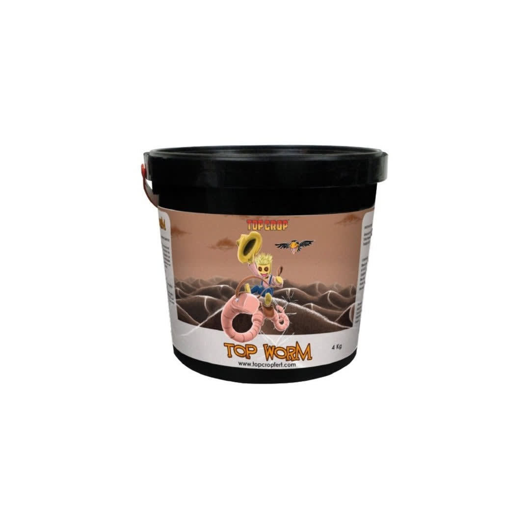 TOP CROP TOP WORM 4K1