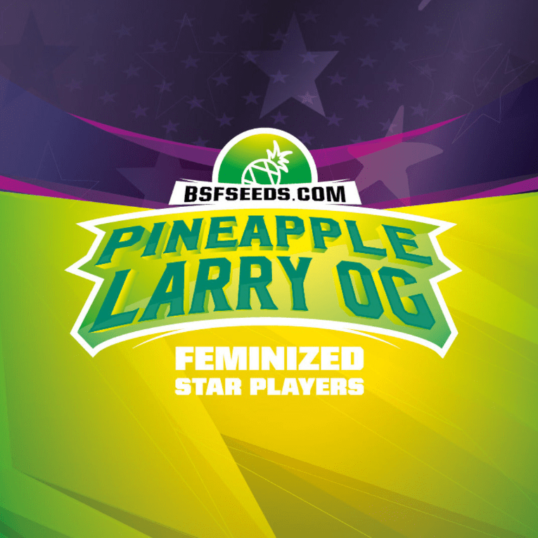 BSF PINEAPPLE LARRY OG XXL AUTO X41