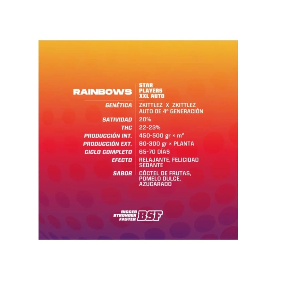 BSF SEEDS RAINBOWS XXL AUTO X21