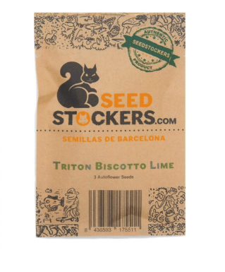 SEED STOCKERS AUTO TRITON BISCOTTO LIME 3 UN1