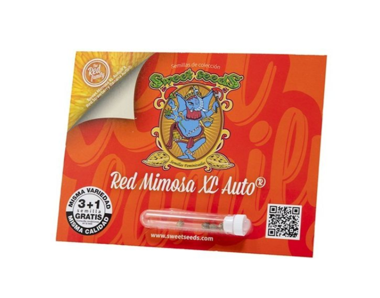 SWEET SEEDS RED MIMOSA XL AUTO 3+1 UN1