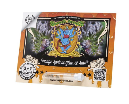 SWEET SEEDS ORANGE APRICOT GLUE XL AUTO 3+1 UN1