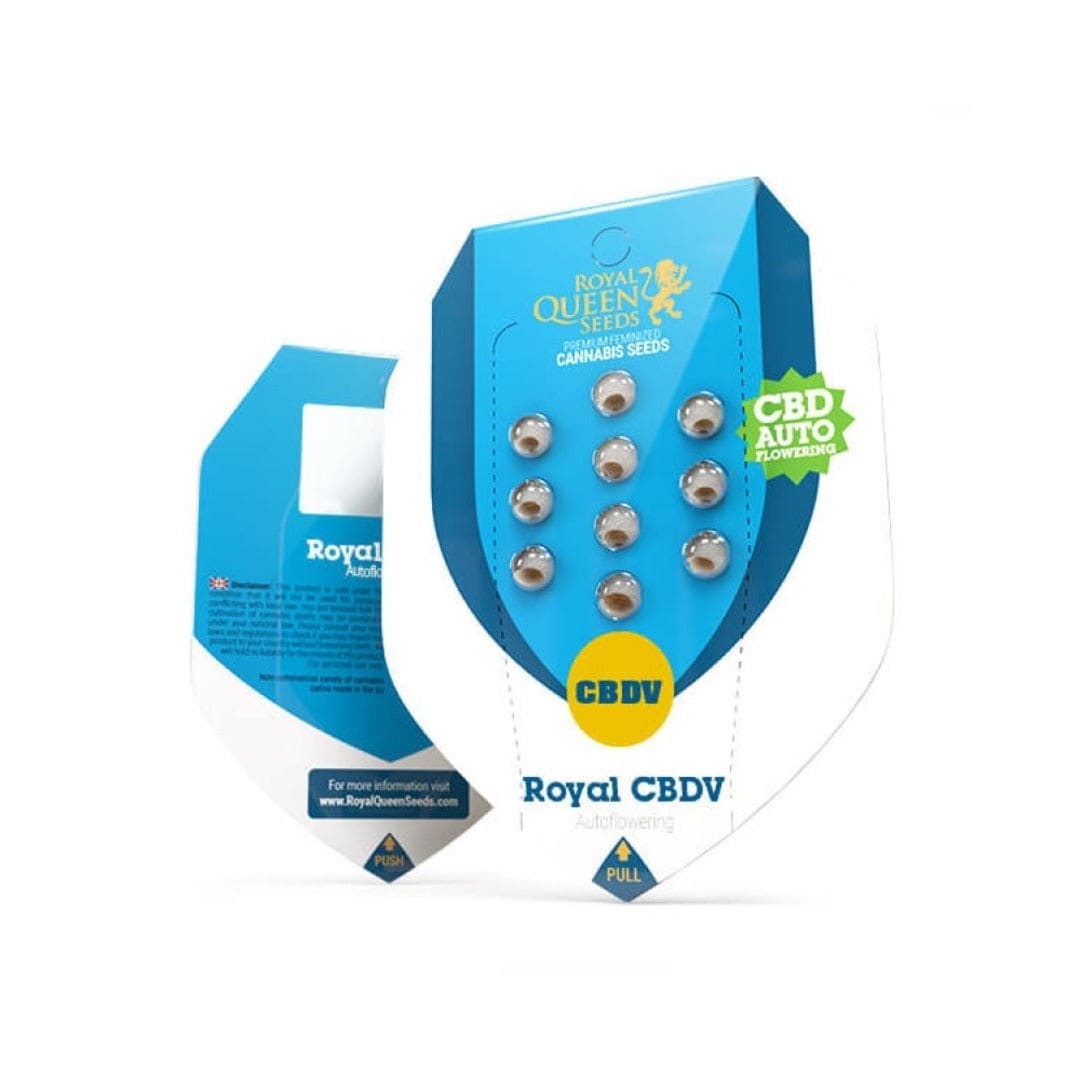 ROYAL CBDV AUTO X1 UN1