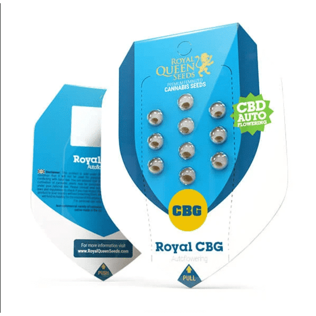 ROYAL CBG AUTO X1 UN1