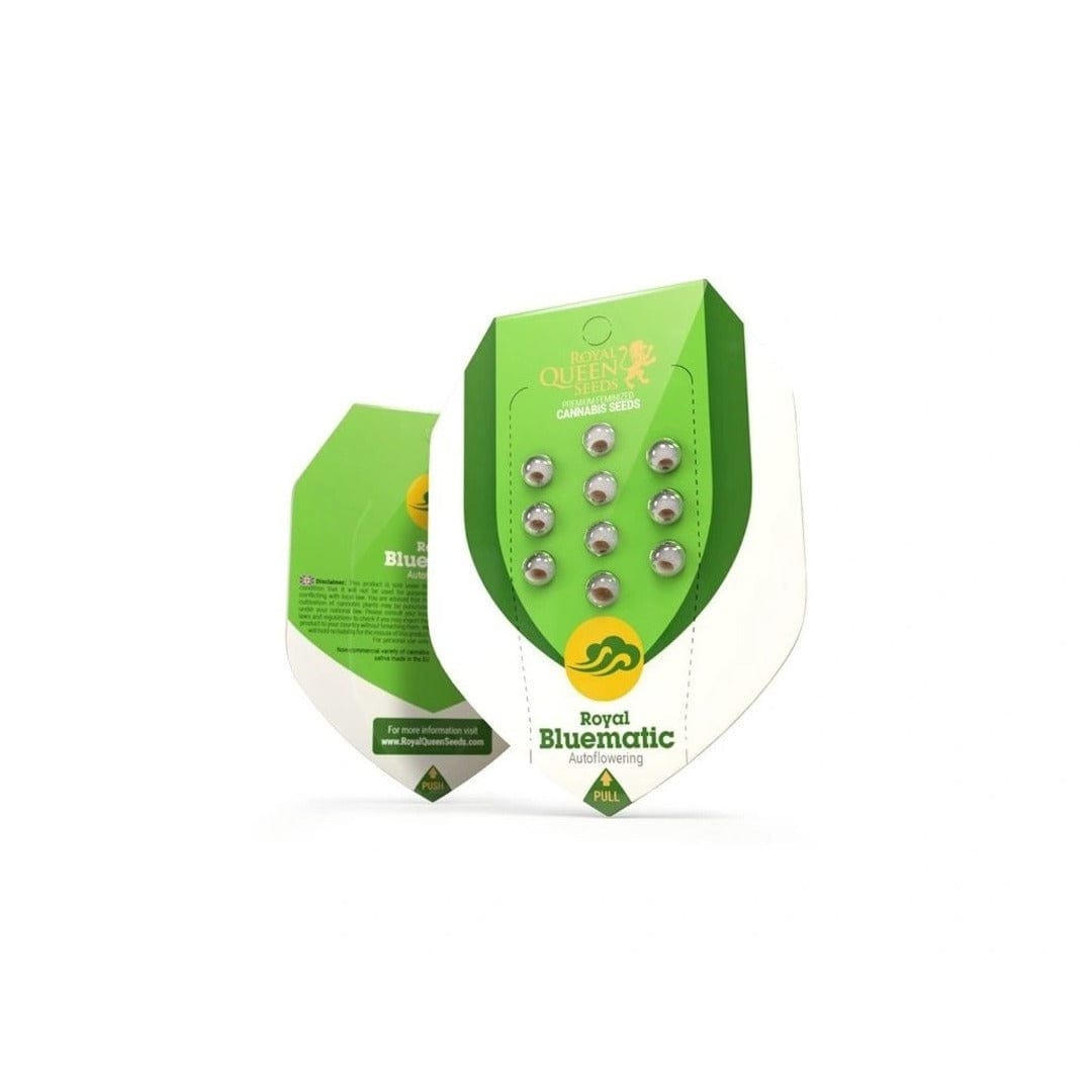AUTO BLUEMATIC 3 UNID - ROYAL QUEEN SEEDS1