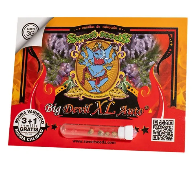 SWEET SEEDS BIG DEVIL XL AUTO X5+21