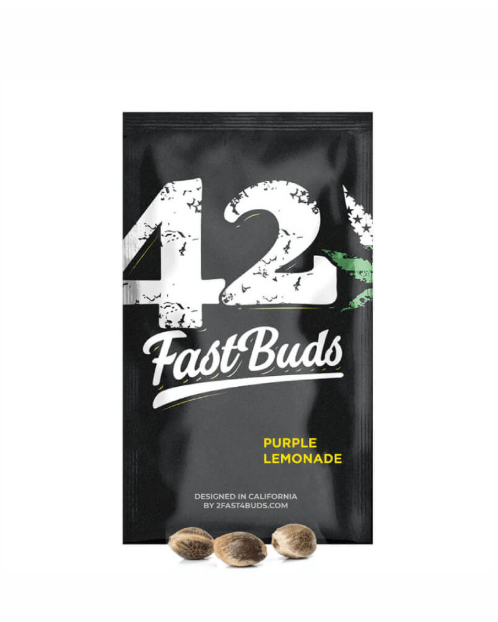FAST BUD PURPLE LEMONADE AUTO 1 unid1