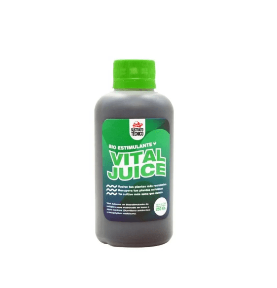 VITAL JUICE 250 ML1