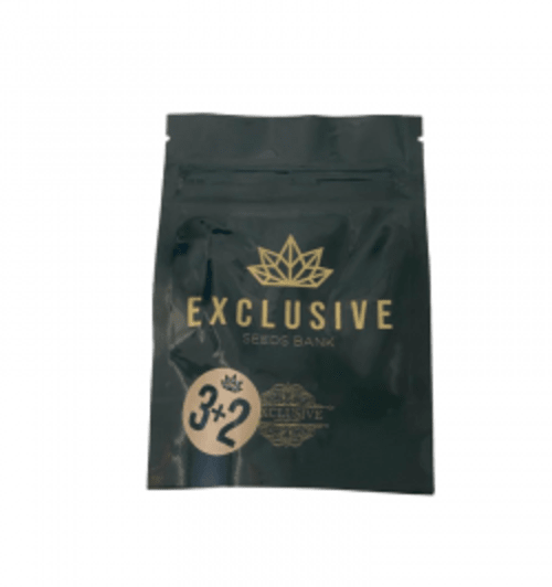 EXCLUSIVE SEEDS NEMO AUTO 5+31