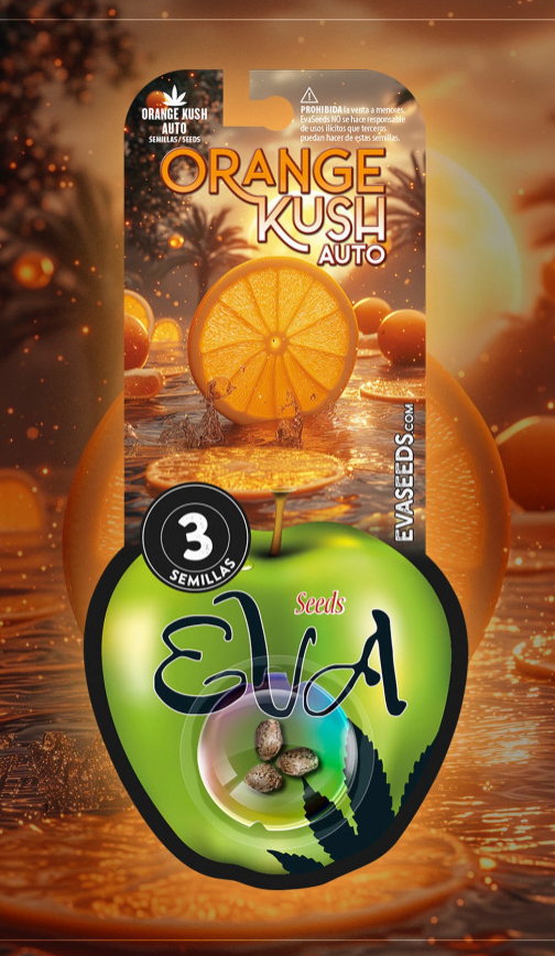 ORANGE KUSH AUTO X3 EVA SEEDS1