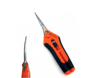 VDL TIJERA BUD CLEAN PUNTA CURVA1