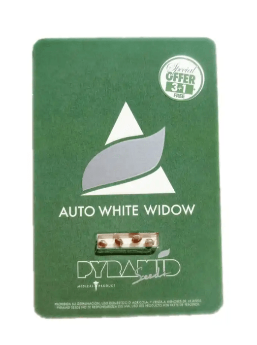 PYRAMID SEEDS AUTO WHITE WIDOW 1 UNID1