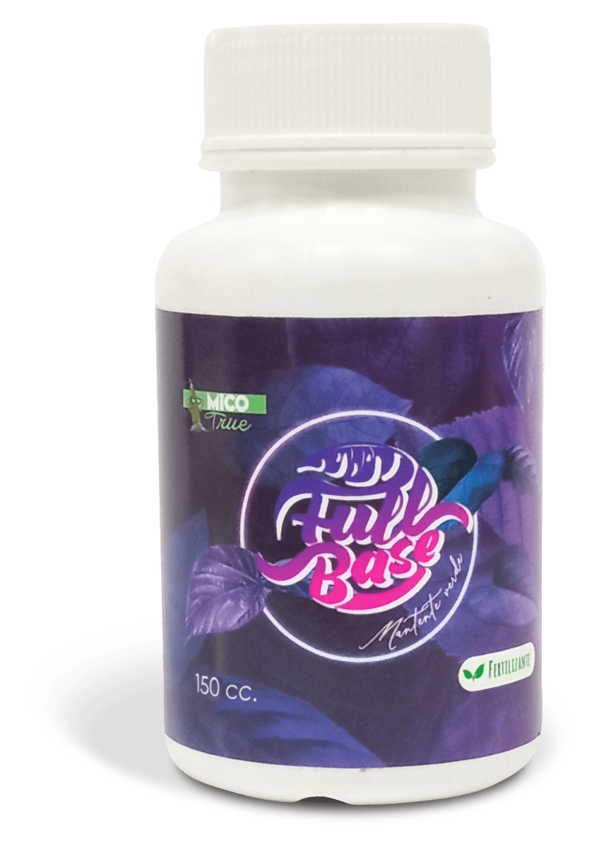 MICO TRUE BASE FULL 150 CC1