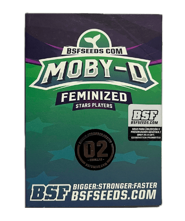 BSF SEEDS FEM MOBY DICK 2 UNID1