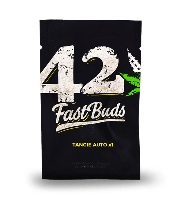 FAST BUDS TANGIE AUTO 1 UN1