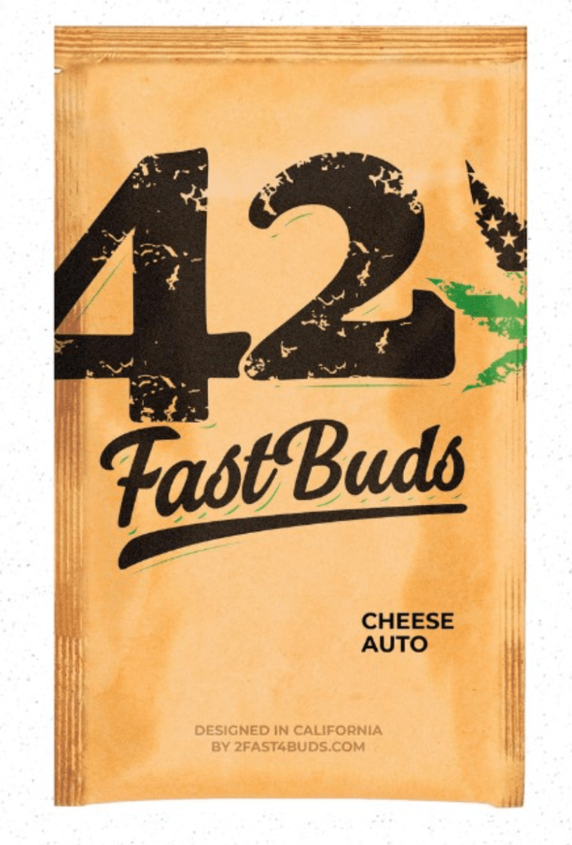 ORIGINAL CHEESE AUTO FAST BUDS 3 UN1