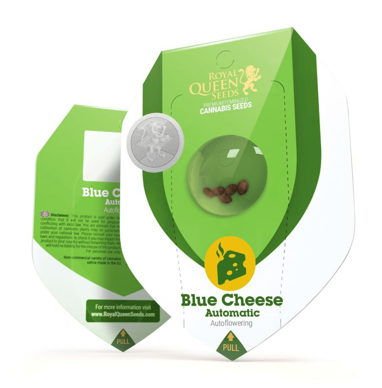 ROYAL QUEEN SEEDS AUTO BLUE CHEES 3UNI1