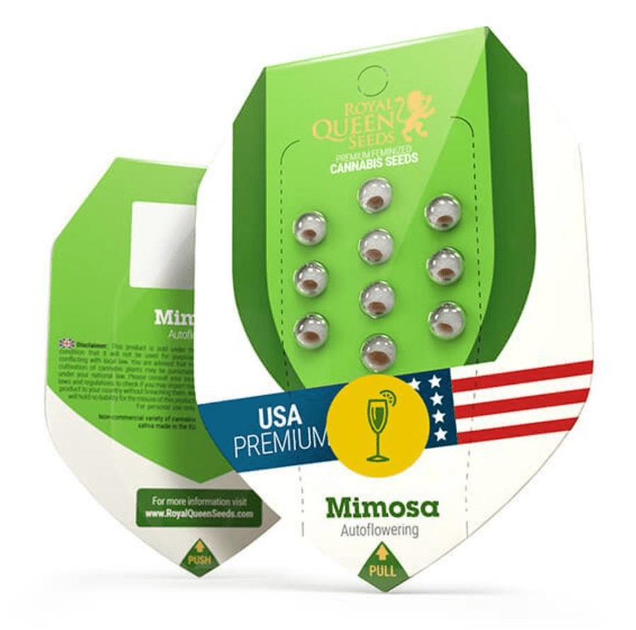 ROYAL QUEEN SEEDS AUTO MIMOSA 3UNI1