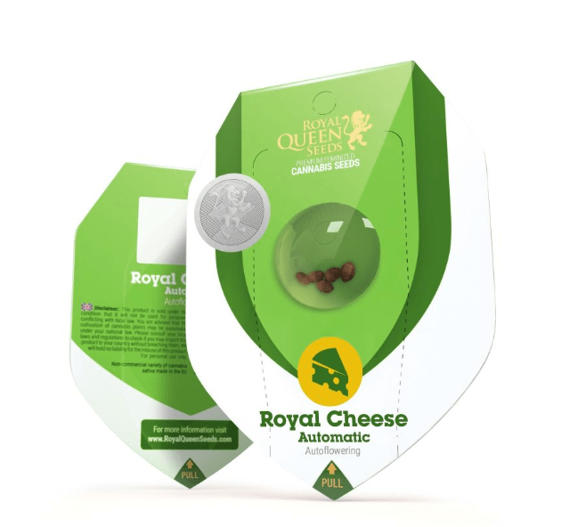 ROYAL QUEEN SEEDS AUTO ROYAL CHEESE 3UNI1