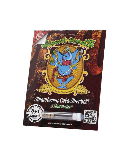 STRAWBERRY COLA SHERBERT F1 X3+1 - SWEET SEEDS1