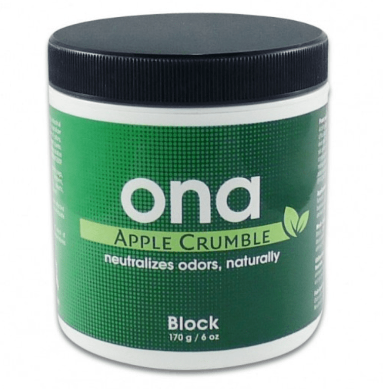 ONA AMBIENTADOR BLOCK1