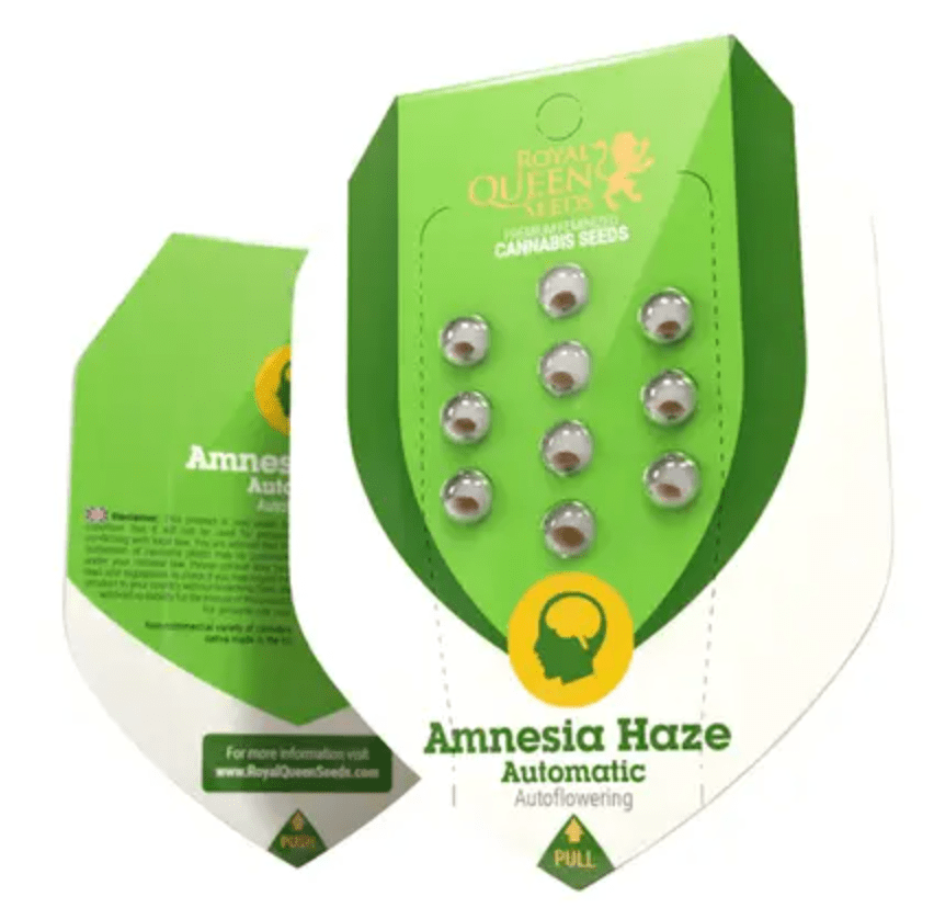 Amnesia Haze Royal Queen Seeds (Pack: 3 uds)1